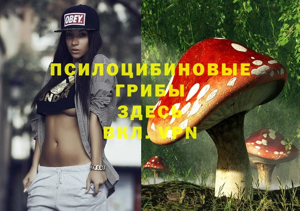 гашик Арсеньев