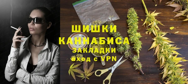 гашик Арсеньев