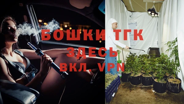 гашик Арсеньев