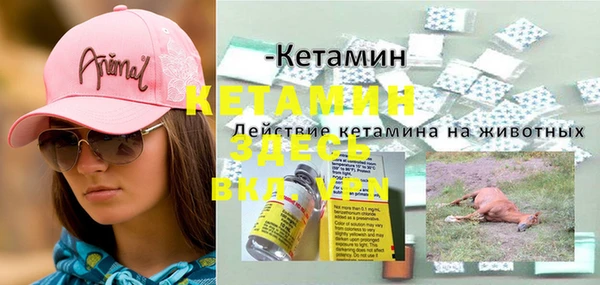 гашик Арсеньев