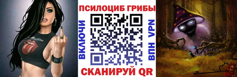 наркошоп  Раменское  Псилоцибиновые грибы MAGIC MUSHROOMS 