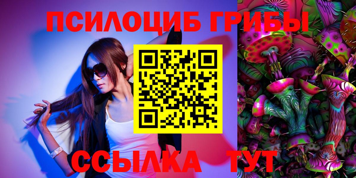 Раменское  Галлюциногенные грибы Psilocybe  Вход с VPN 